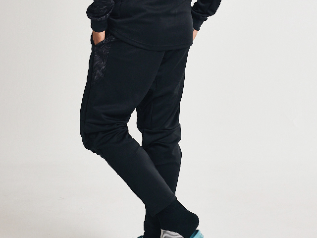 トレーニングジャージ パンツ &#039;25  写真6