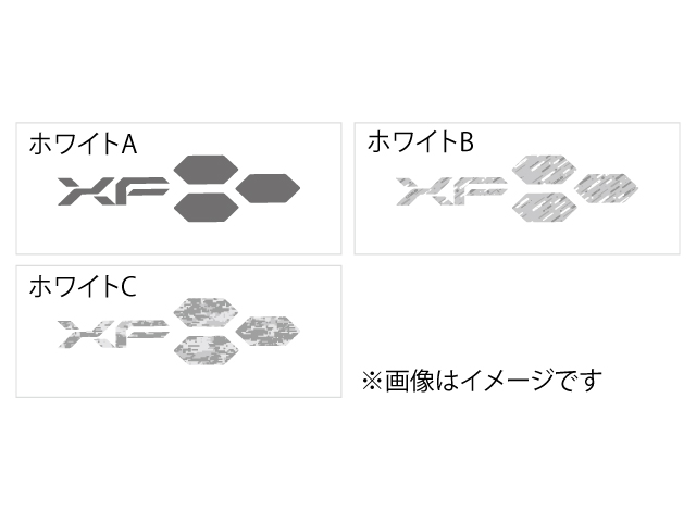 Limited Edition プラクティスシャツ 写真5