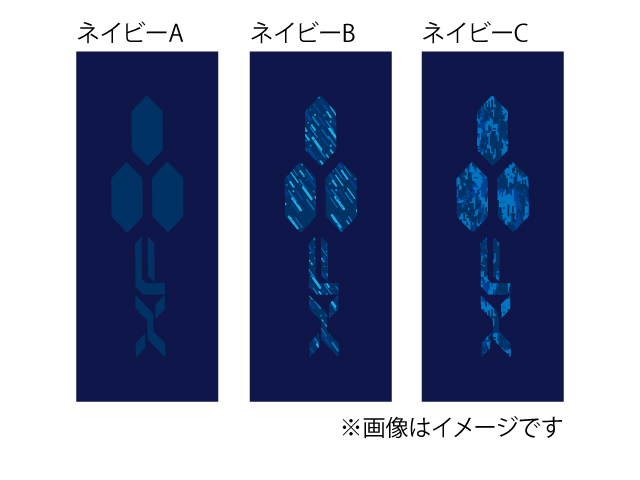 Limited Edition トレーニングショーツ 写真3