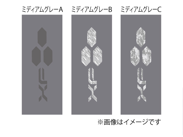 Limited Edition トレーニングショーツ 写真4