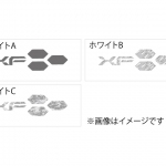 Limited Edition プラクティスシャツ 写真5