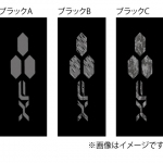 Limited Edition トレーニングショーツ 写真2