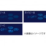 Limited Edition プラクティスシャツ 写真4