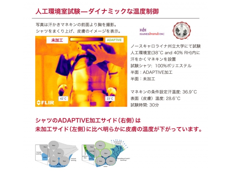 Vネックインナーメッシュシャツ 写真6